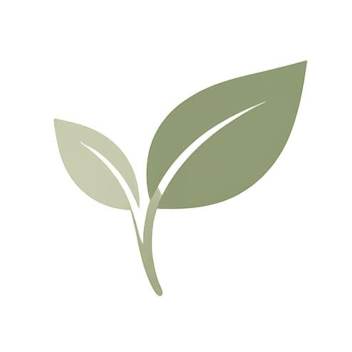 Balanced Slow Life | Creating Calm in a Busy World